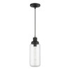 Livex Lighting Oakhurst 1 - Light Pendant in  Black/Brushed Nickel - 4 of 4