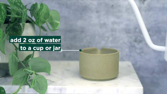 Jade Leaf Classic Culinary Matcha Green Tea Powder Mix - 1oz, 2 of 6, play video