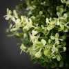Sullivans Baby Grass Orb 7"H; Green - 2 of 3