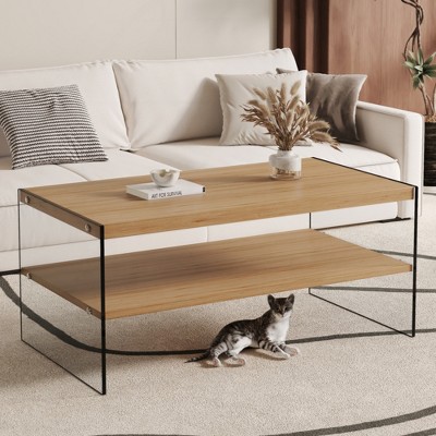 KIGFTSOD MDF Double Layered Rectangular Coffee Table with Storage Shelf, Glass Legs for Living Room, Bedroom
