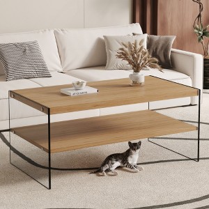 KIGFTSOD MDF Double Layered Rectangular Coffee Table with Storage Shelf, Glass Legs for Living Room, Bedroom - 1 of 4
