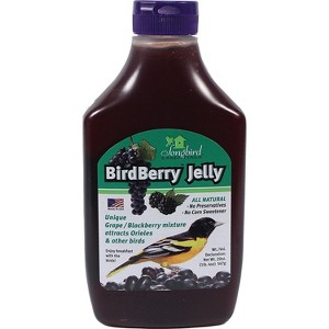 Songbird Essentials Bird Berry Jelly 20 Oz - 1 of 1