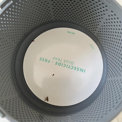 Guest review image 1 of 1, zoom in