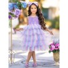 Springtime Fairy Lace and Stars Tiered Tutu Dress Mia Belle Girls - 2 of 4