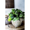 HC Companies KTS16000E59 16 Inch Tahoe Indoor Outdoor Aged Wood and Stone Look Square Planter Pot with Removable Drain Plug, Falcon Brown - 3 of 3