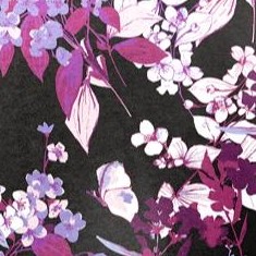 black berry garden