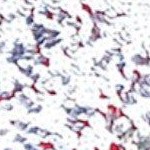 silver and red