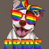 Adult Design By Humans Pit Bull Rainbow Pride Dog By Luckyst Racerback Tank Top - 2 of 2