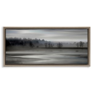 Stupell Industries Grey Nature Landscape Black Framed Floater Canvas Wall Art - 1 of 4