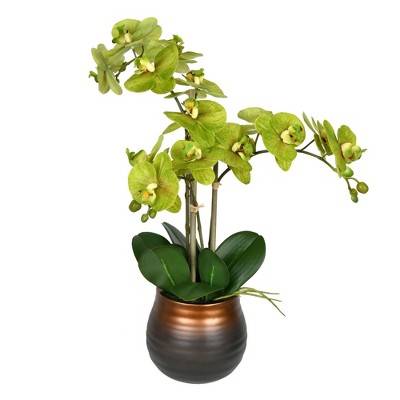 Vickerman Artificial 22" Potted Real Touch Phalaenopsis