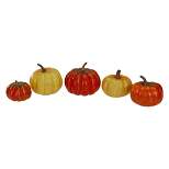 Northlight Set of 5 Artificial Fall Harvest Pumpkins Decorations 4"