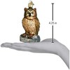 Old World Christmas Wise Old Owl Glass Blown Ornament for Christmas Tree - 2 of 3
