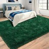 Dark Green Shag Rug, Ultra Soft 1.7" Thick, Non-Slip Backing, for Bedroom or Living Room - 4 of 4
