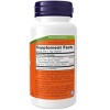 Chaste Berry Vitex Extract 300mg by Now Foods  -  90 VegCap - 2 of 2