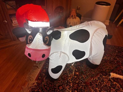 Guest review image 3 of 5, zoom in