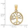 Black Bow Jewelry 14k Yellow Gold Round Framed Tree of Life Pendant, 15mm (9/16 inch) - 4 of 4