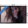 Trends International Laurie Prindle - Equus Framed Wall Poster Prints - 3 of 4