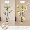 Faux Southern Magnolia Plant Yellow Flowered Magnolia, Artificial Magnolia Tree Inc. Realist Touch Flowers Vivid Leaves White Pot Dry Moss - 3 of 4
