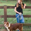 Country Brook Petz HossFit Jr Wide Martingale Dog Collar - Chevron and Arrows Collection - 3 of 4