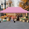 Costway 10 x 20 FT Pop-up Canopy UPF50+ Sun Protection Tent with Carrying Bag Blue/Black/Grey/White/Pink - 4 of 4