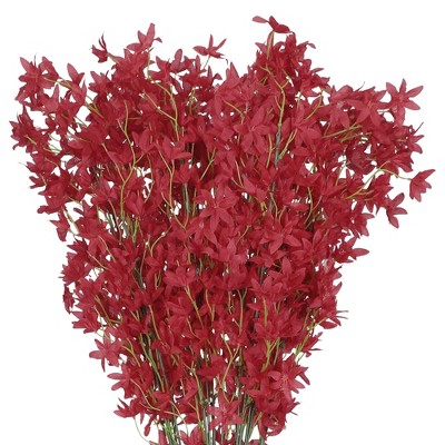 REGALWOVEN Real Touch Silk Artificial Flowers Orchids in Bulk with Stem for Decoration 44.4" 6 Pcs
