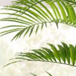 PU White