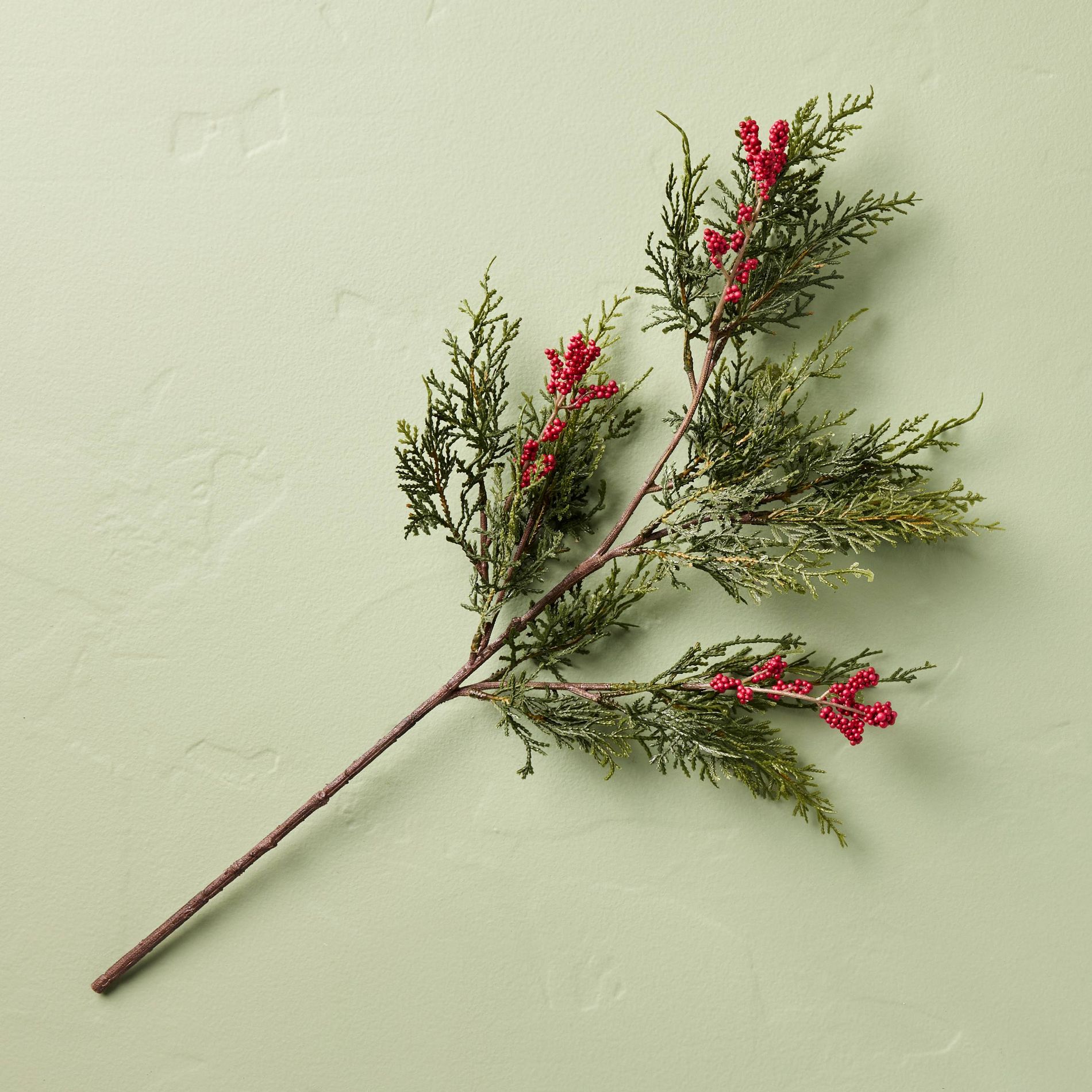Cedar Berry Stem - Hearth & Hand™ with Magnolia