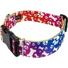 Country Brook Petz HossFit Jr Wide Deluxe Dog Collar - Groovy Collection - 2 of 4