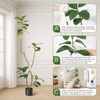 Garvee 5/6/7FT Artificial Plants Rubber Tree with Resin Pot & Stone Faux Fiddle Leaf Fig Tree Indoor Artificial Trees Tall Plant Fake Tree - 3 of 4