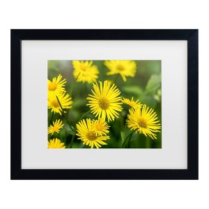 Trademark Fine Art - Harri Aho yellow field Matted Framed Art - 1 of 4