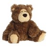 Aurora Medium Bear Hugs Snuggly Stuffed Animal Brown 11" - 2 of 4