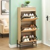 Natural Rattan  Shoe Cabinet Organizer Freestanding - 2 of 4