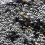 light gray, taupe, medium gray, medium brown