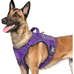 rabbitgoo Dog Harness for Large Dogs No Pull, l Handle, for Easy Walking and Training, Purple, L - 1 of 1