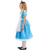 HalloweenCostumes.com Girl's Deluxe Disney Alice Costume, Disney Princess Costumes for Kids, Blue Dress Fairytale Cosplay - 3 of 4