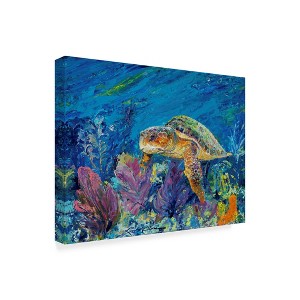 Trademark Fine Art -Lucy P. Mctier 'Loggerhead Turtle' Canvas Art - 1 of 3