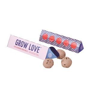 Modern Sprout Grow Love Wildflower Mix Seed Balls (Pack of 6) - 1 of 1