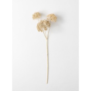 Sullivans Artificial Seed Pod Stem 31"H Off-White - 1 of 3