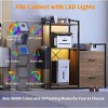 File Cabinet, Filing Cabinet Fits Letter/a4 Size, 2 Drawe File Cabinets for Home Office with Power Strip, LED Lights, Open Shelf - 4 of 4