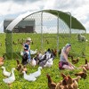 Metal Chicken Coop, Large Chicken Run with Double Door and Upgrade Tri-Supporting,  Chicken Runs for Yard with Cover, Outdoor Poultry Pen - 2 of 4