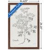 Trends International Jean Plout - Botanical Studies on Paper Coriander Framed Wall Poster Prints - 3 of 4