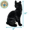 Boone The Black Cat - 13 Inch Stuffed Animal Plush - By Viahart - 4 of 4