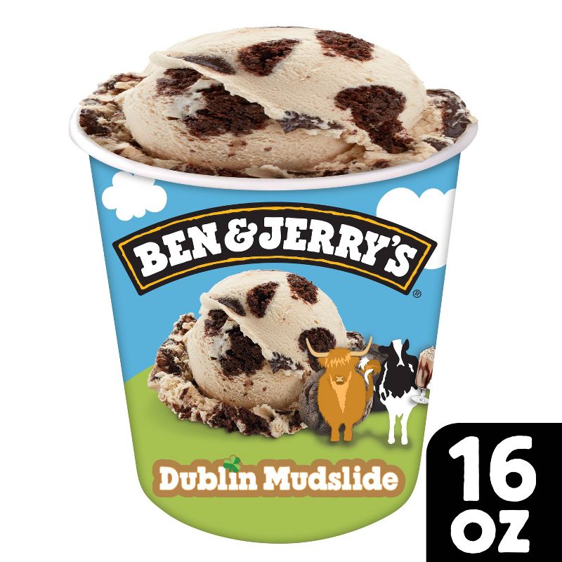 Ben &#38; Jerry&#39;s Dublin Mudslide Ice Cream - 16oz, 1 of 8