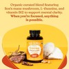 Four Sigmatic Focus Organic Mushroom Vitamin Capsules - 90ct - 3 of 4