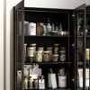 Famapy Versatile Black Storage Cabinet:Adjustable Shelves and Color - Changing Lights - 4 of 4