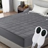 Dexmalle King Size Gray Electric Heated Mattress Pad,10 Heat Settings Auto Off 2-4-8 Hours - 2 of 4