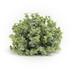 Artificial Green Foliage Half Orb – 8 inch Boxwood Decor Set of 6 by Melrose - 2 of 3