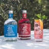 Lyre's Pink Gin Fizz Non-Alcoholic Spirits Cocktail Set - 2pk/700ml Bottles - image 2 of 4