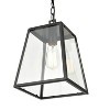 Millennium Lighting Grant 1 - Light Pendant in  Powder Coat Black - 2 of 4