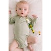 Loulou Lollipop Darling Pacifier Clip - Avocado - 4 of 4